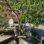 Traditional House In Village Anavryti Апартаменты